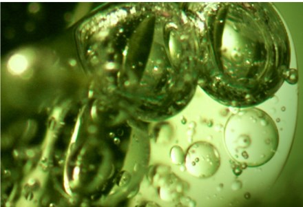 Acide salicylique 
