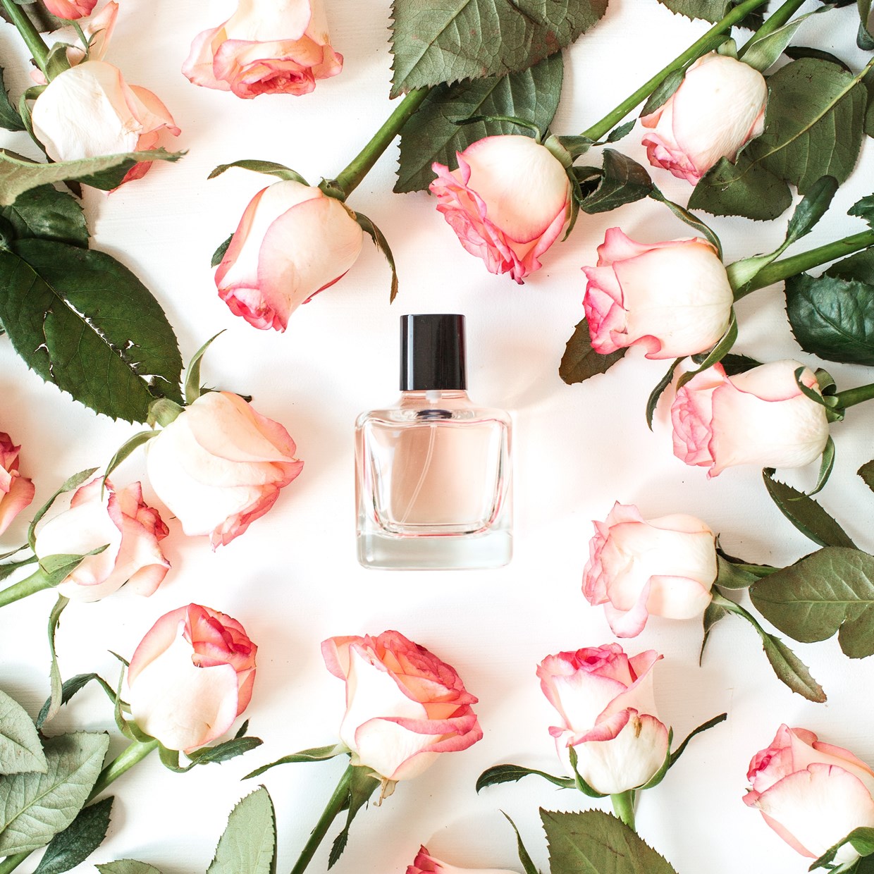 Geuren parfums voor dames online! | Plaza
