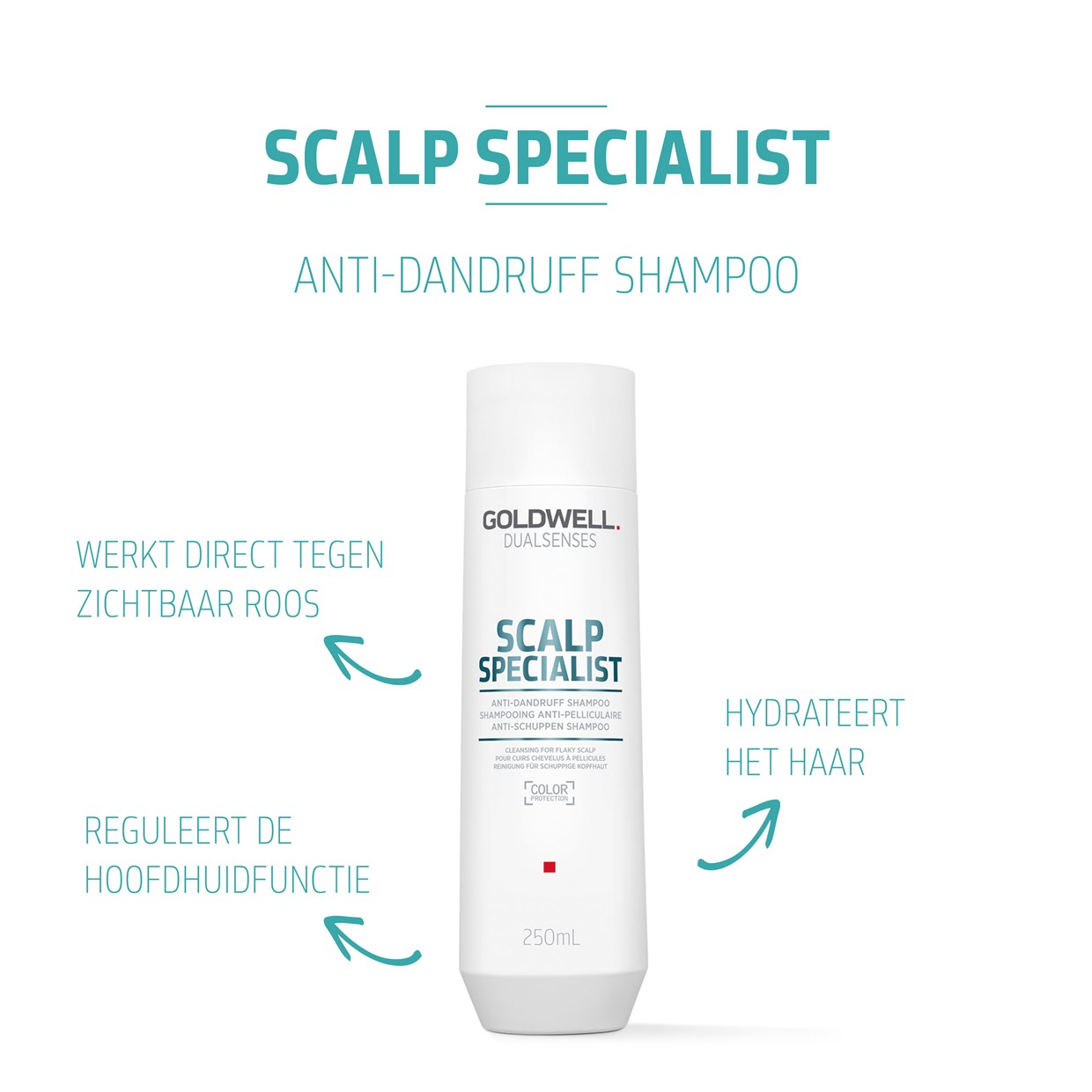 Dualsenses Scalp Specialist Shampoo | Beauty Plaza