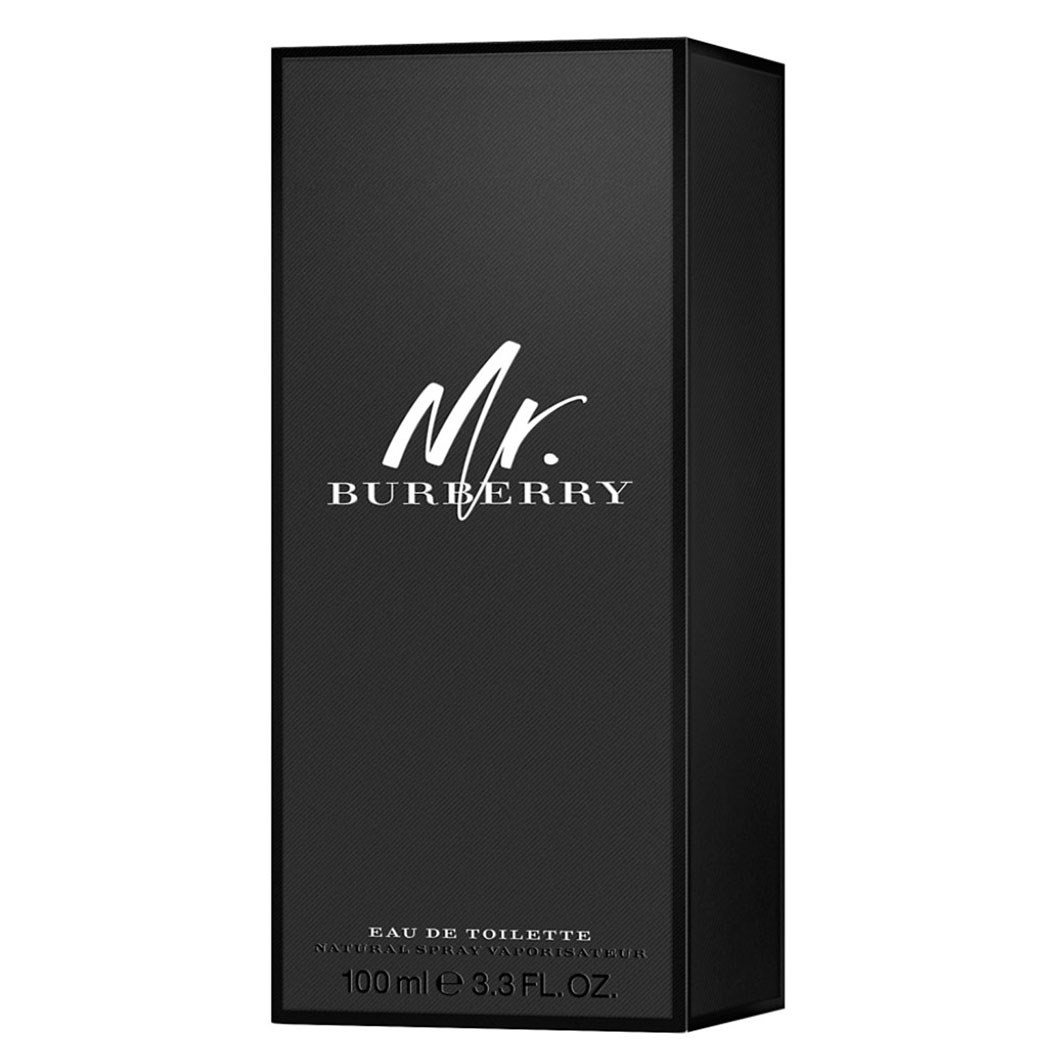 Burberry mr burberry hotsell edt 3.3 fl oz