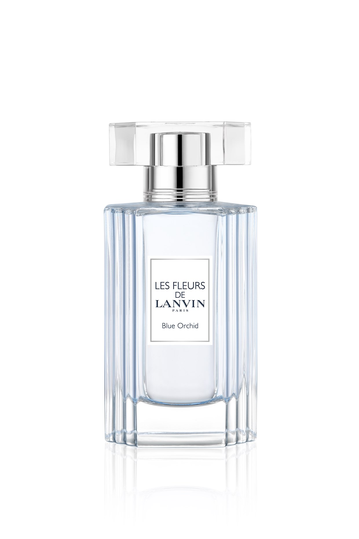 Buy Lanvin Blue Orchid Eau de Toilette 50ml | Beauty Plaza