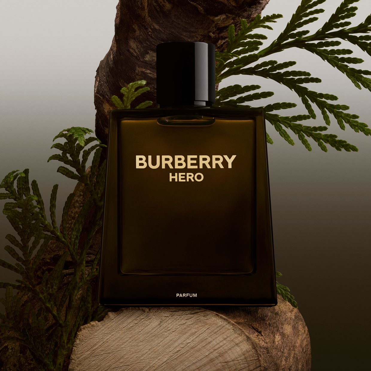 Buy Burberry Hero Parfum 50ml | Beauty Plaza