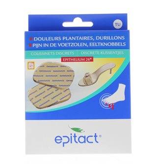 Epitact Epitact Epithelium 26 Eeltknobbels Discrete Kussentjes