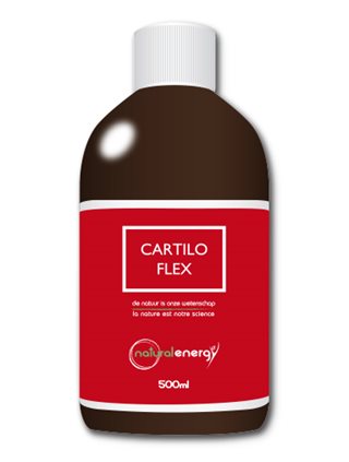 Natural Energy Spécialités Cartilo Flex