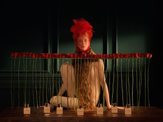 Fertility Collection
