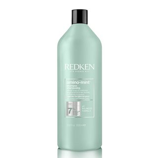 Redken Haircare Amino Mint Shampoo