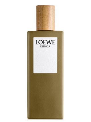 Loewe Esencia Pour Homme 100ml Eau De Toilette Spray – Alicisse boutique
