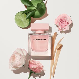 Narciso