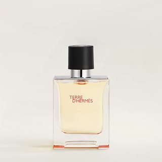 Hermès Terre d'Hermès Eau de Toilette 50ml