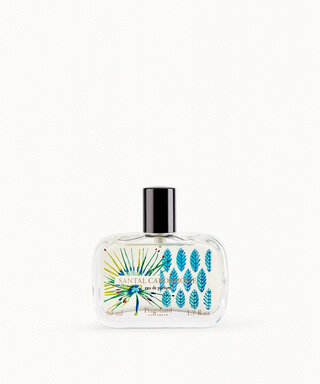 Buy Fragonard Fragrance Jasmin Perle De Thé Jasmin Perle De Thé