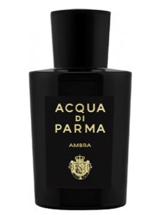 Acqua di Parma Signature Ambra Eau de Parfum 20ml