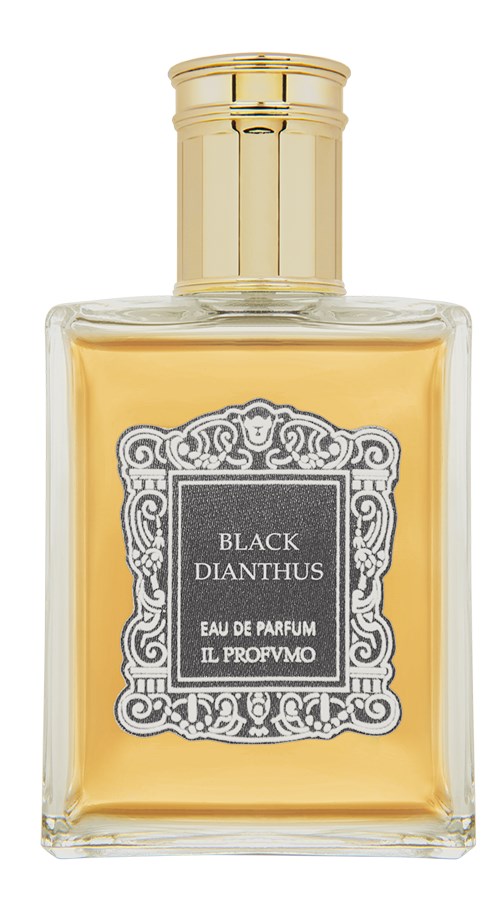 Black Dianthus Osmo Parfum