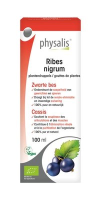 Plantendruppels Ribes Nigrum