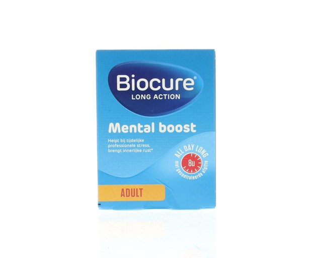 Intellect Long Action Mental Boost Adult