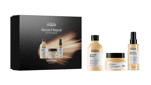 Buy L'Oréal Professionnel Série Expert Absolute Repair Set