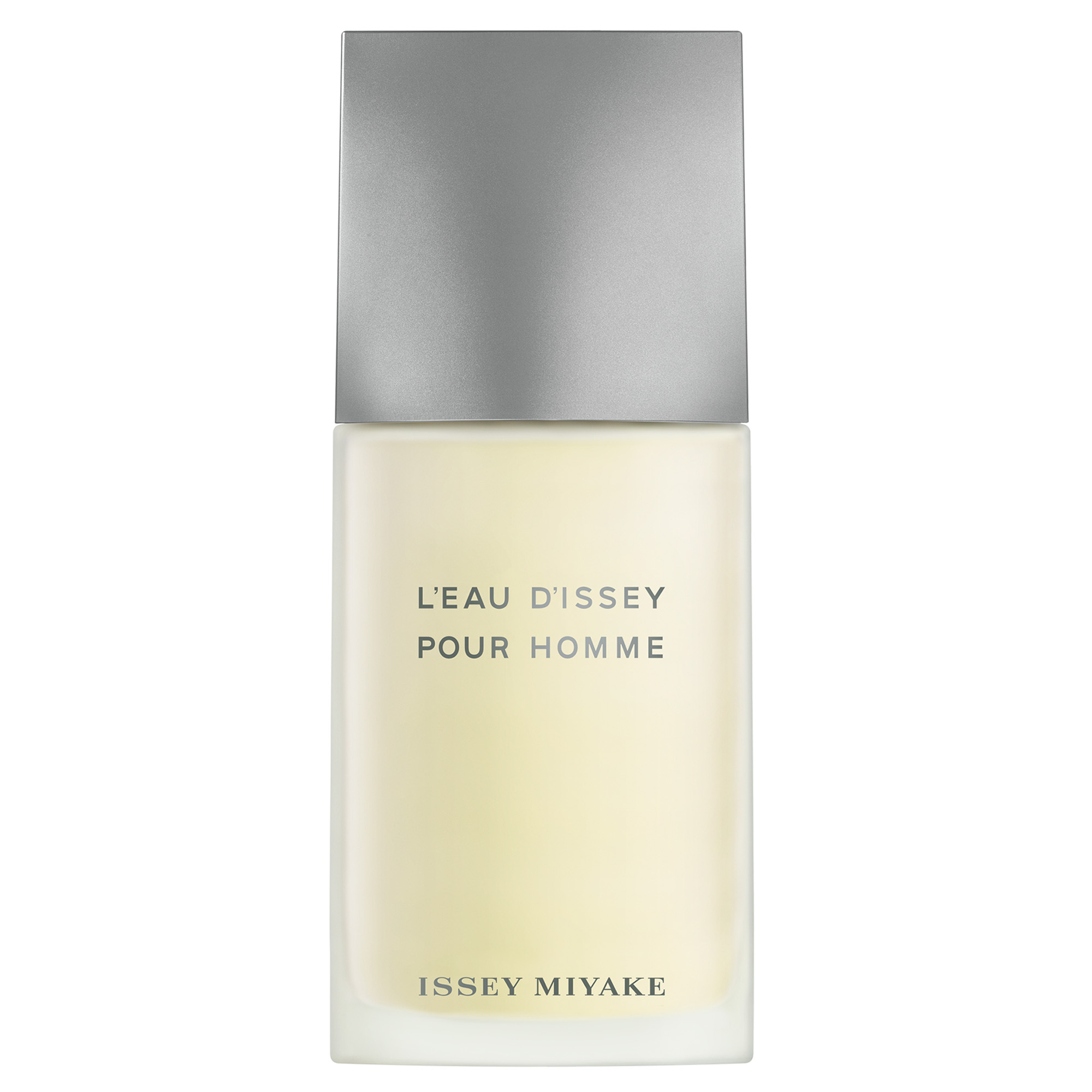Issey Miyake L'Eau D'Issey Pour Homme Eau de Toilette 125ml