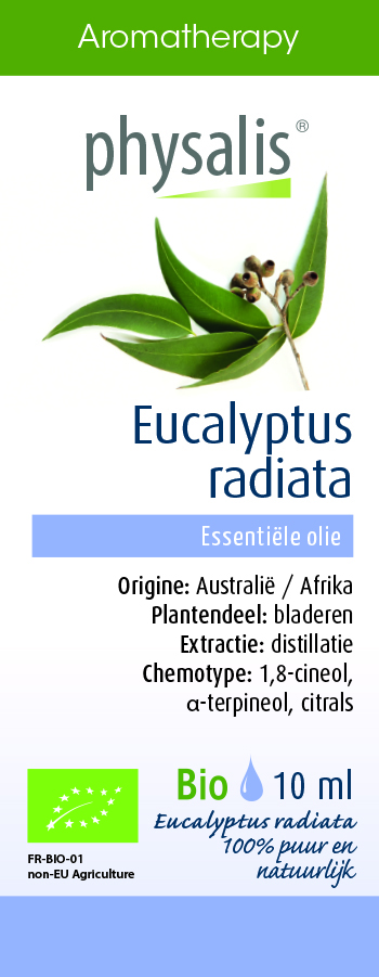 Physalis Aromatherapy Essentiële Oliën Eucalyptus Radiata Olie  10 ml
