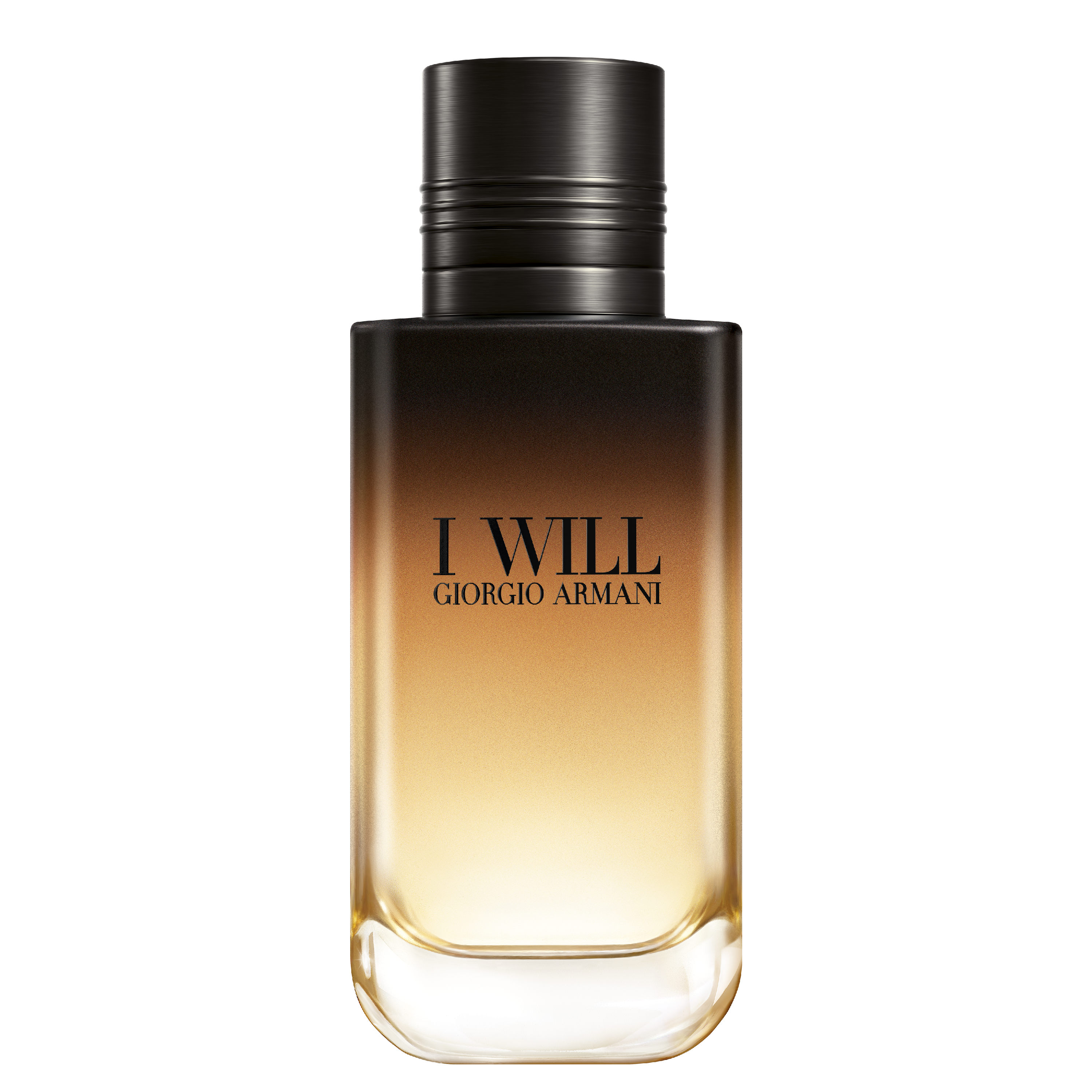 Giorgio Armani I Will Eau de Parfum 100 ml