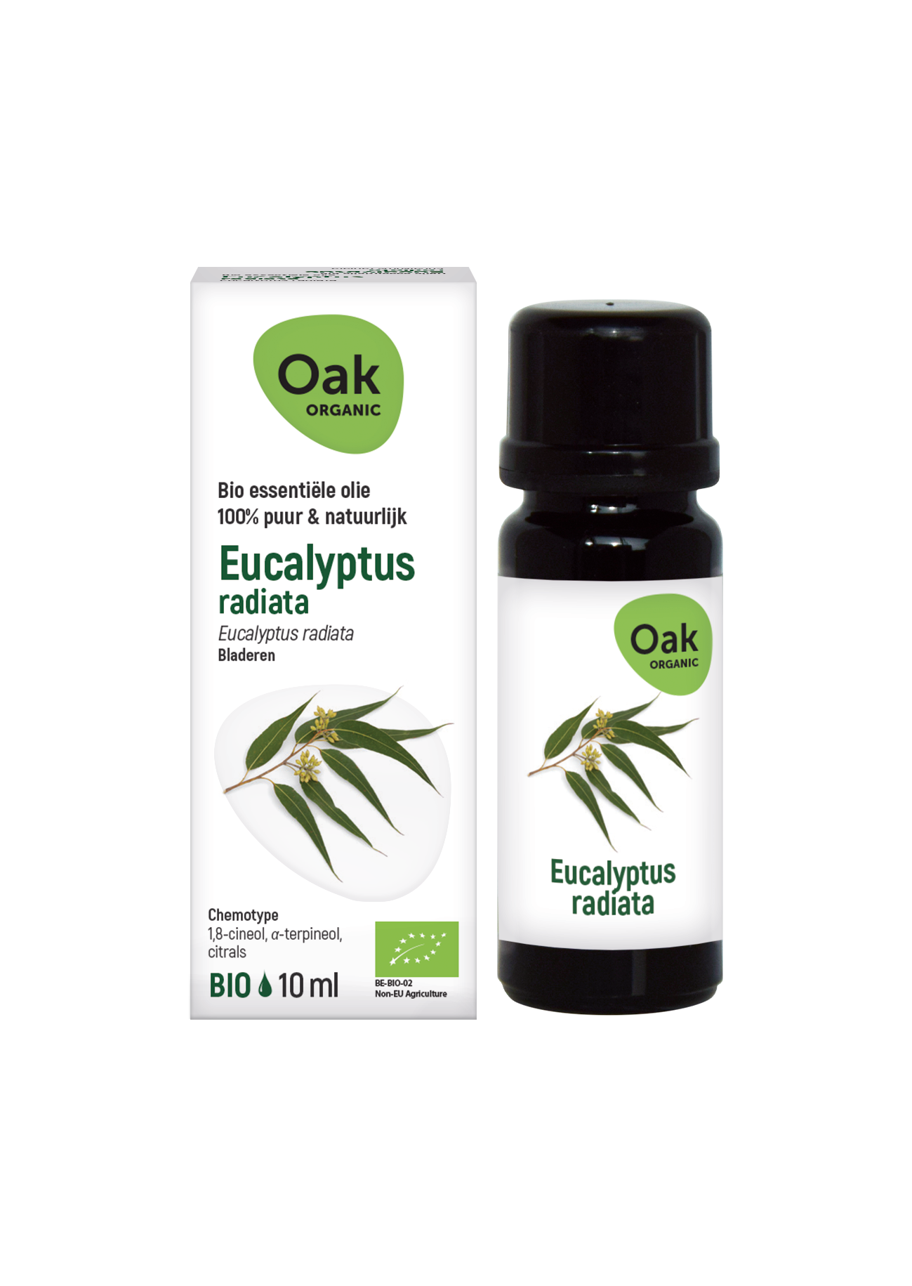 Oak Organic Essential Oils Eucalyptus Radiata Olie  10 ml