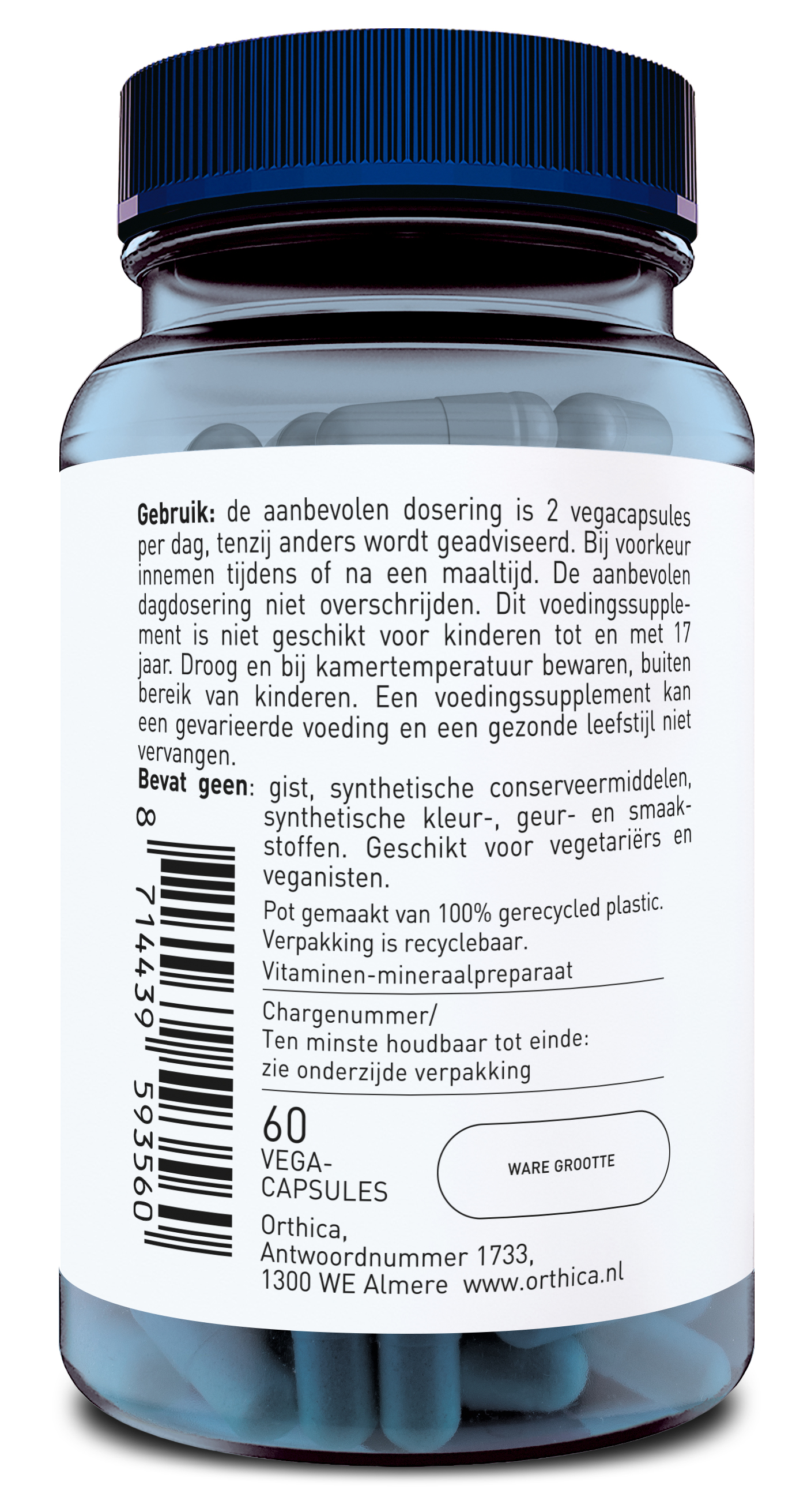 Orthica Brain Support Capsules  60 Cap