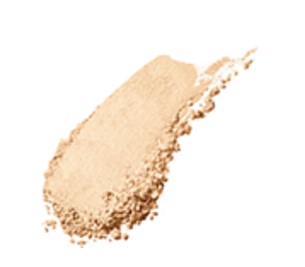Sensai Make-Up Foundations Total Finish SPF10 Refill TF202 11 gr